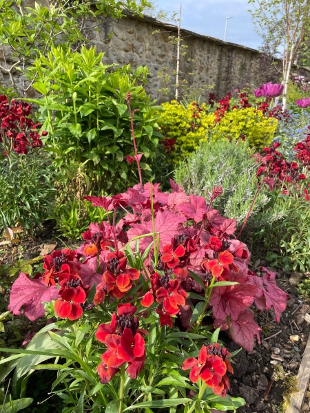 The Cottage Garden at Jordans Courtyard